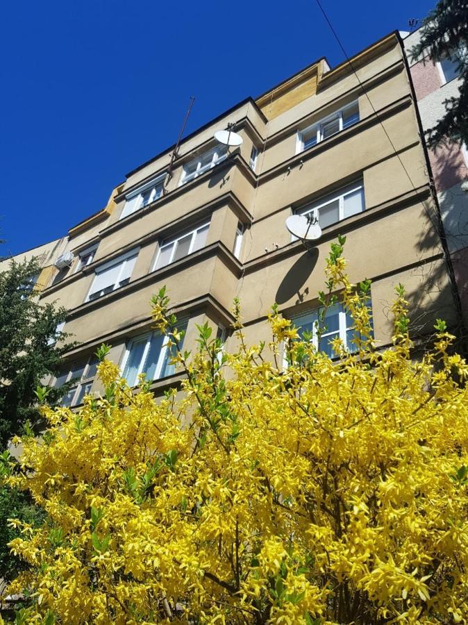 Apartamento Затишні Смарт-Квартири В Історичному Центрі! Úzhgorod Exterior foto